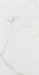 CARRARA GLOSS 300x600